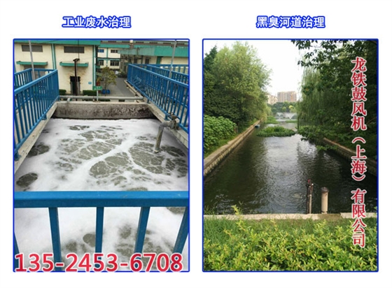 污水處理鼓風機