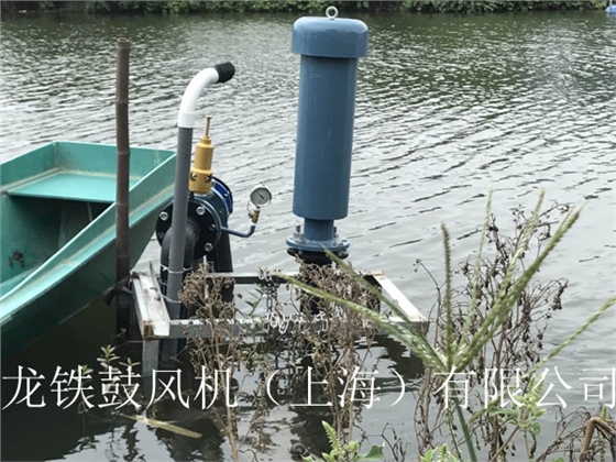 龍鐵沉水式鼓風(fēng)機(jī)多少錢(qián)？.jpg